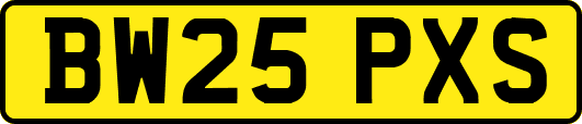 BW25PXS