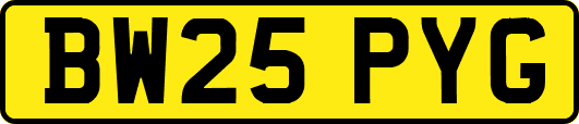 BW25PYG