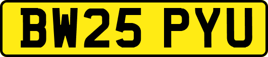BW25PYU