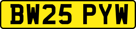 BW25PYW