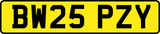 BW25PZY