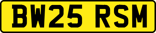 BW25RSM
