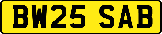 BW25SAB