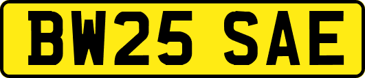 BW25SAE
