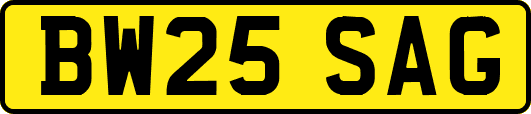 BW25SAG