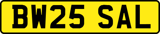 BW25SAL
