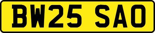 BW25SAO