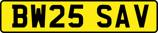 BW25SAV