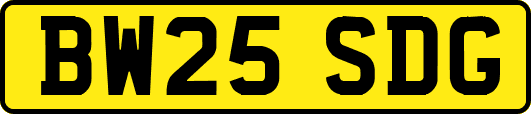 BW25SDG