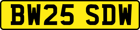 BW25SDW