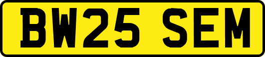 BW25SEM