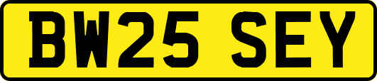 BW25SEY