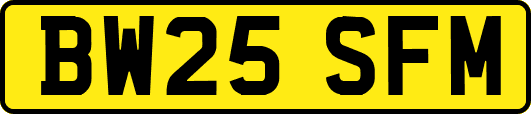 BW25SFM
