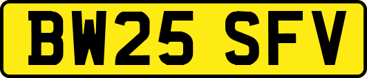 BW25SFV