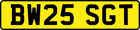 BW25SGT