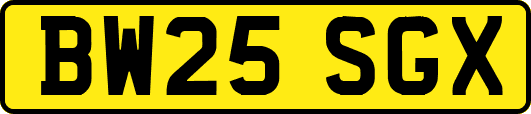 BW25SGX
