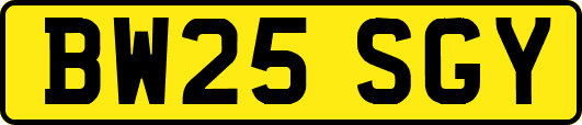 BW25SGY