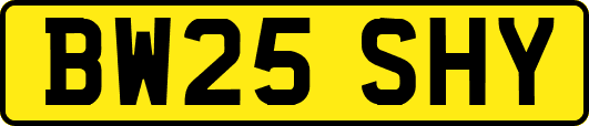 BW25SHY