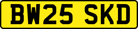BW25SKD