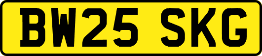 BW25SKG