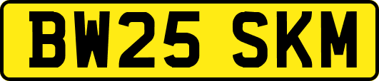 BW25SKM