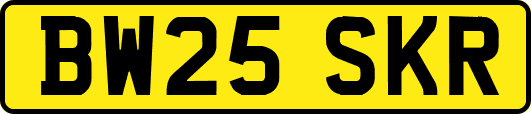 BW25SKR