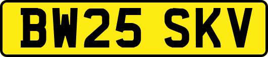 BW25SKV