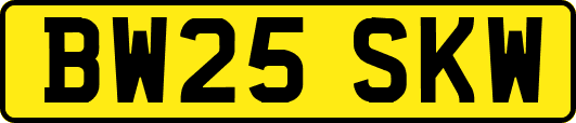 BW25SKW