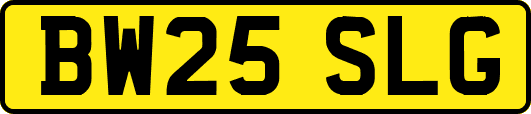 BW25SLG