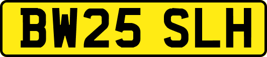 BW25SLH