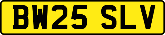 BW25SLV