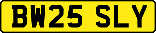 BW25SLY