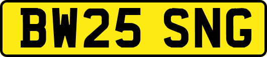 BW25SNG