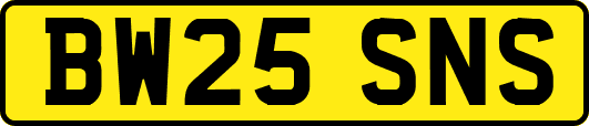 BW25SNS