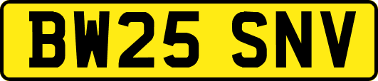 BW25SNV