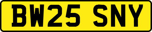 BW25SNY