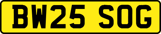 BW25SOG