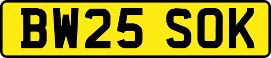 BW25SOK