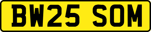 BW25SOM
