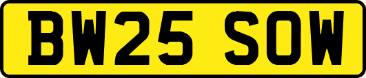BW25SOW