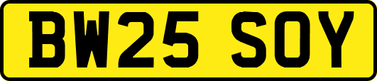 BW25SOY