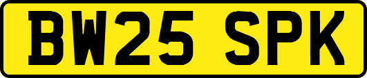 BW25SPK