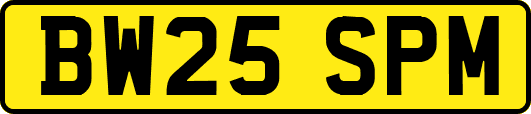 BW25SPM