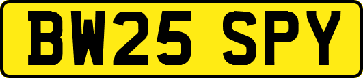 BW25SPY