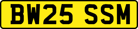 BW25SSM