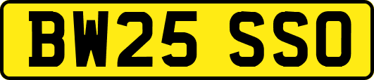 BW25SSO
