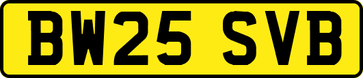 BW25SVB