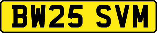 BW25SVM