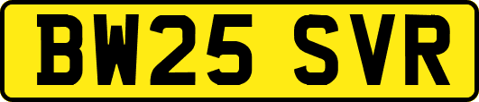 BW25SVR