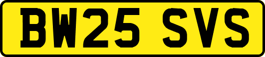 BW25SVS